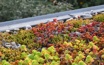 the cost of Otby green roof installation