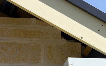 soffit repair Otby