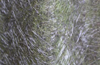 Otby fibreglass roof work